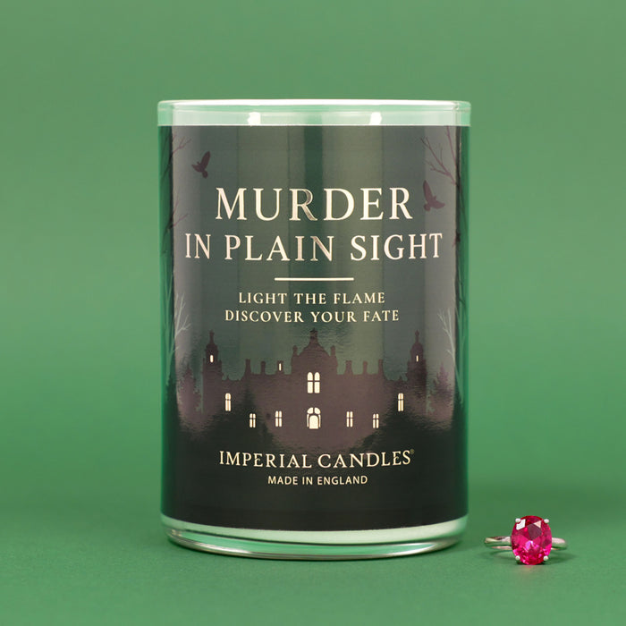 Murder In Plain Sight