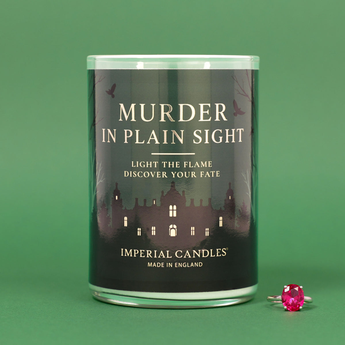 Murder In Plain Sight