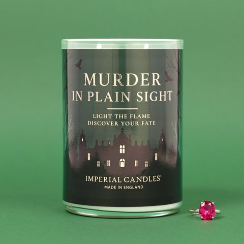 Murder In Plain Sight