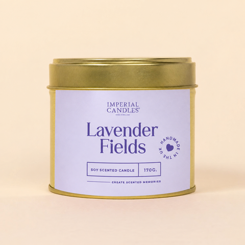 Lavender Fields